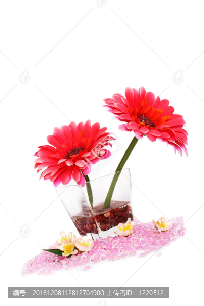 花在花瓶