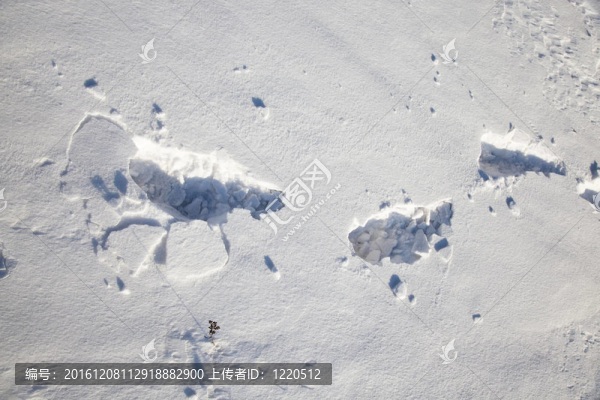 在雪的痕跡