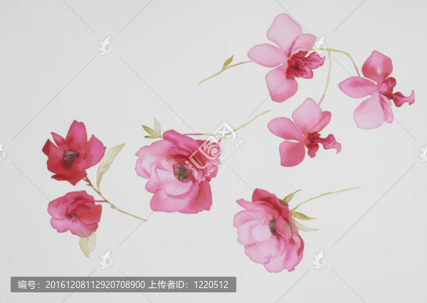 水彩畫中花的色彩闡釋