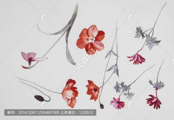 水彩畫中花的色彩闡釋