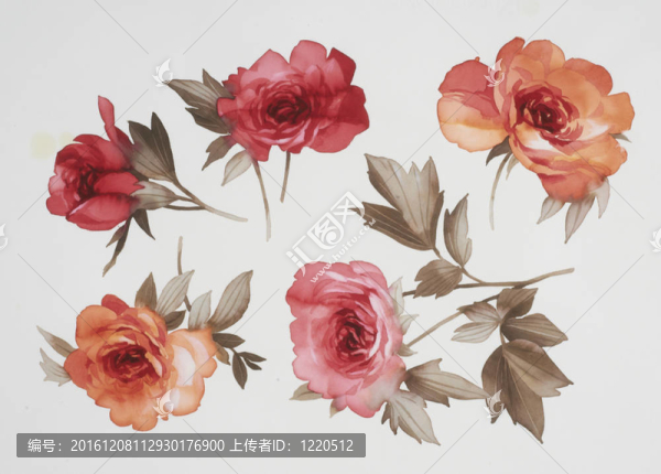 水彩畫中花的色彩闡釋
