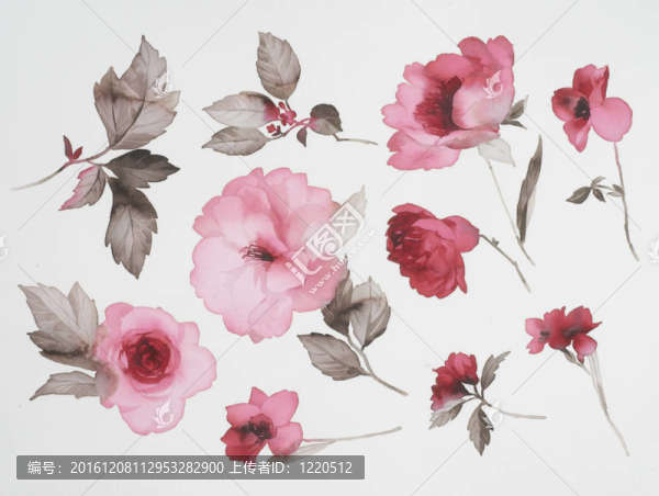 水彩畫(huà)中花的色彩闡釋