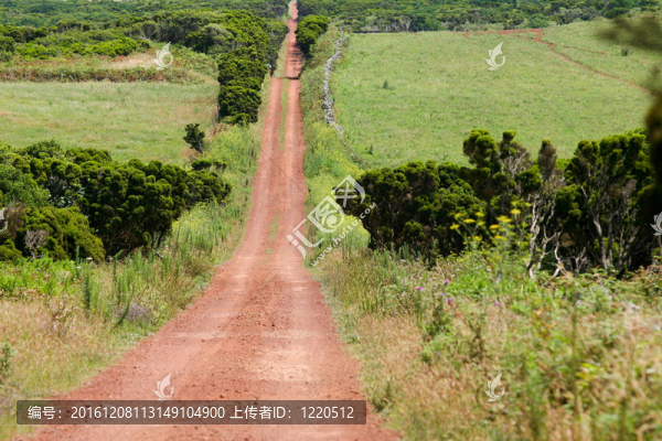 土路