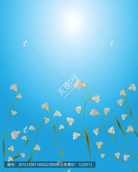 花卡