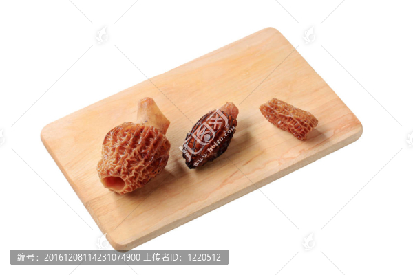 羊肚菌蘑菇