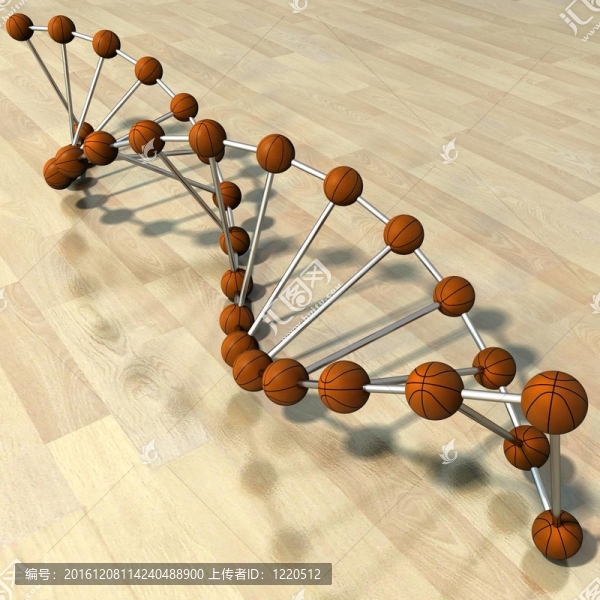 籃球運動員DNA串