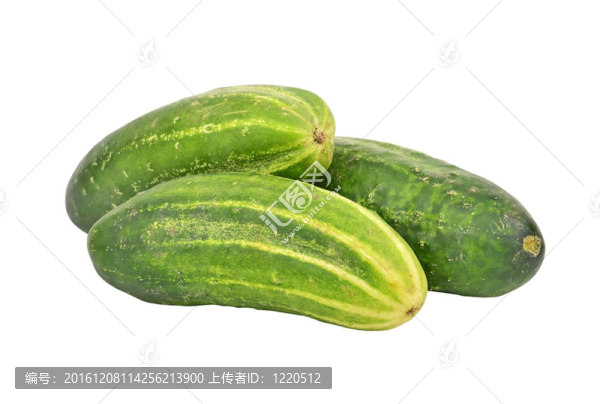 新鮮青瓜黃瓜；孤立在白色背景
