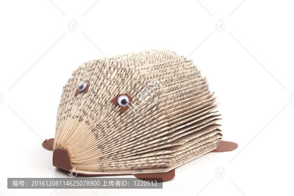 人工Hedghog