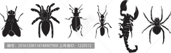 昆蟲