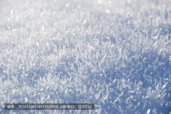 晴天的白雪