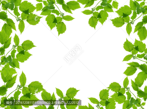 框架-匯圖網(wǎng) www.fosd68.com 框架