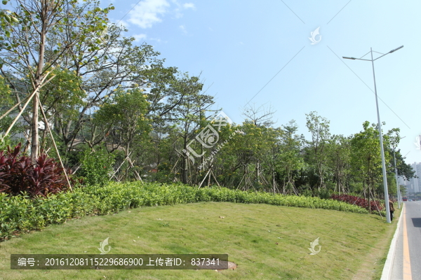 城市綠化