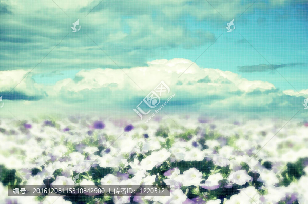 夏天的背景