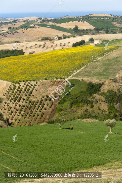 阿特里自然公園（Ancona；Abruzzi；意大利）；景觀在夏天；