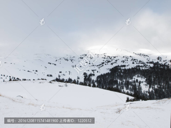 下雪的冬天的場景
