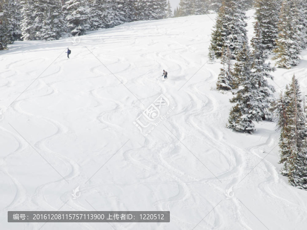山坡上的新鮮滑雪道