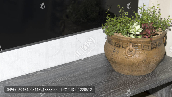 室內(nèi)室內(nèi)花卉