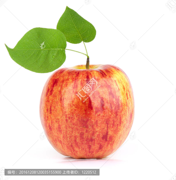 成熟的紅蘋果和葉子