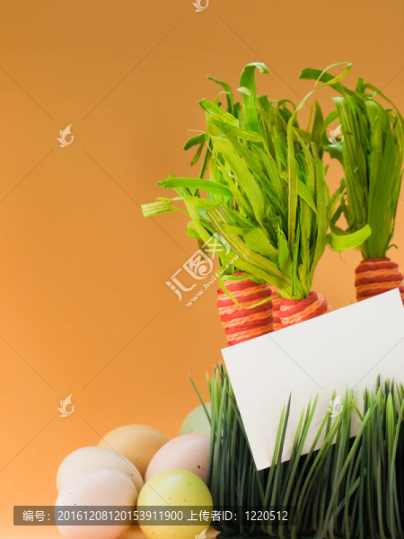 奧林巴斯數(shù)碼相機(jī)