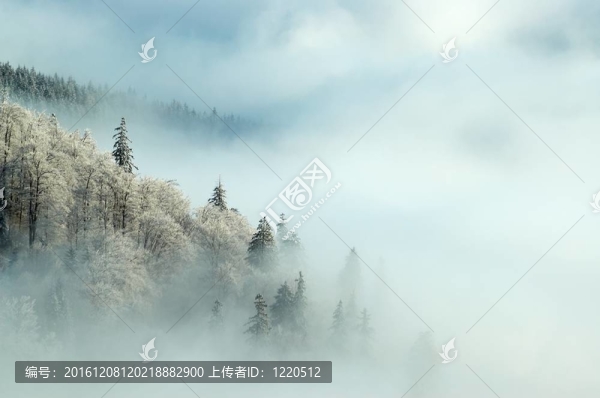 寒冷的早晨