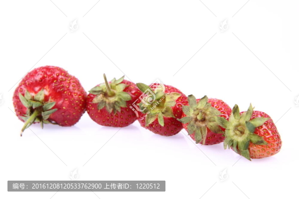 草莓