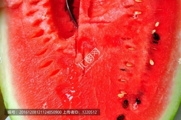 紅色熟透的西瓜