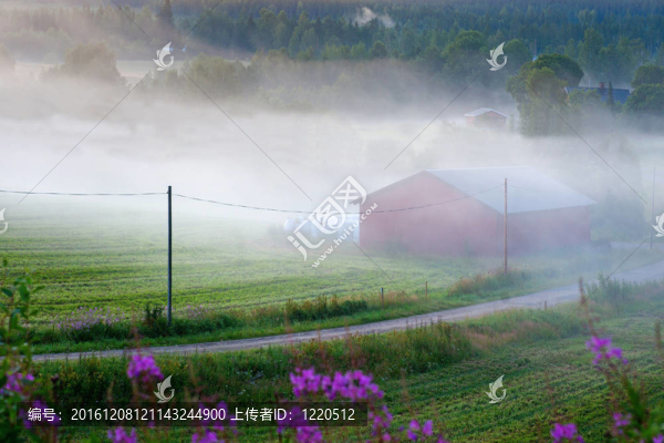 霧蒙蒙的鄉(xiāng)村景觀