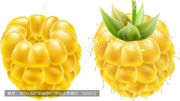 黃色的成熟覆盆子在白色背景。