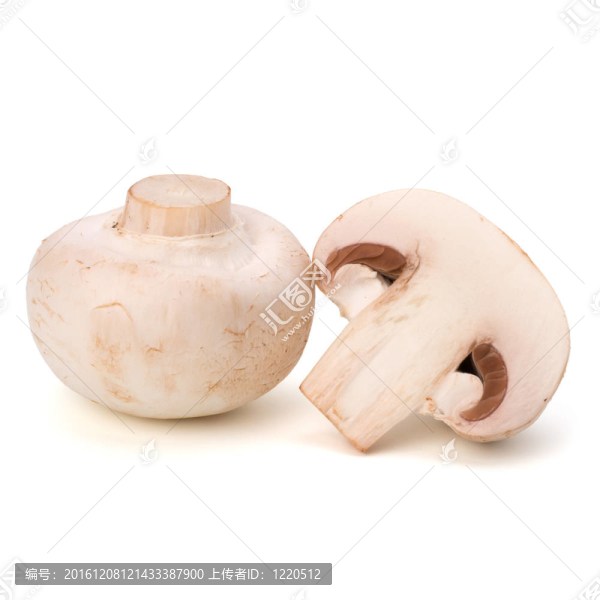 香菇蘑菇