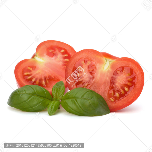 番茄和羅勒葉