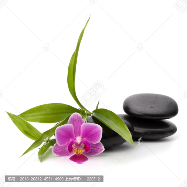 禪意平衡。水療與保健概念。