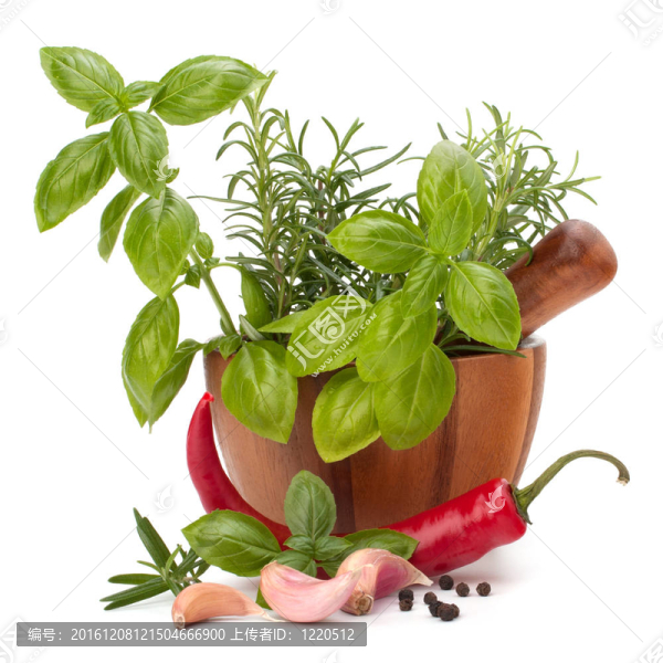 木粉中的新鮮香料和香料