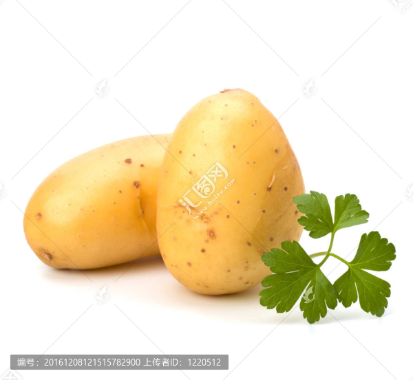 新土豆綠歐芹