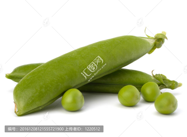 新鮮青豆莢