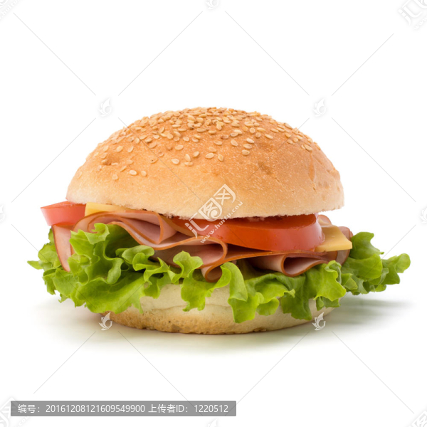 垃圾食品漢堡包