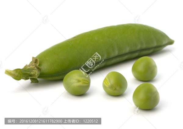 新鮮青豆莢