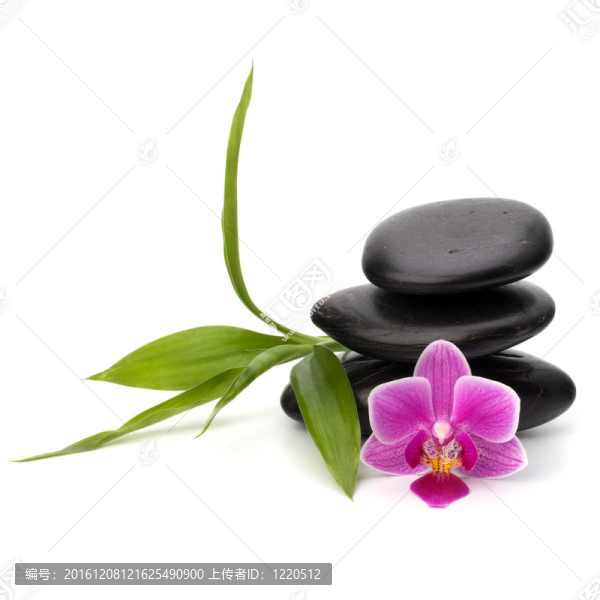 禪意平衡。水療與保健概念。