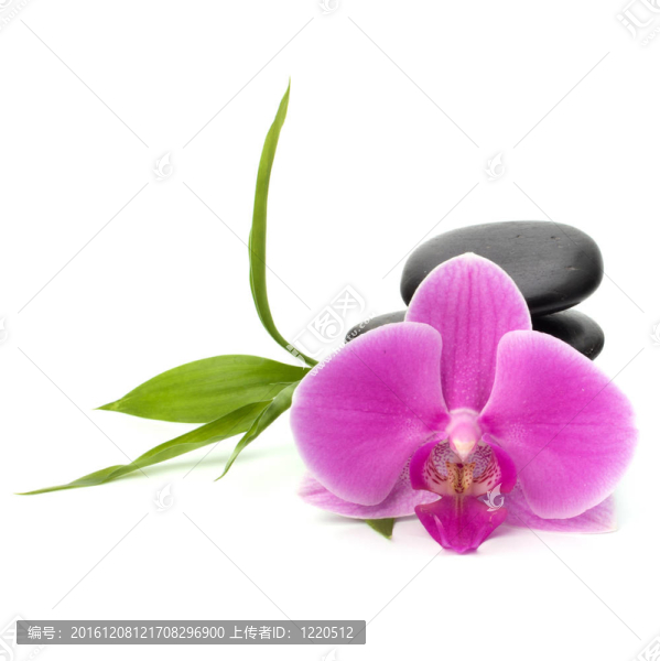 禪意平衡。水療與保健概念。