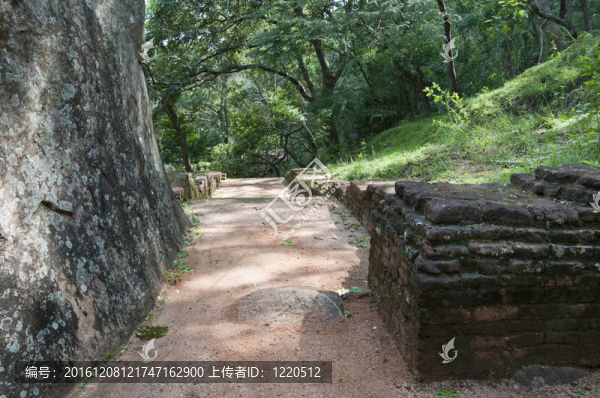 斯里蘭卡；錫吉里亞古宮遺址；