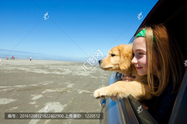 汽車櫥窗里的女孩和小狗