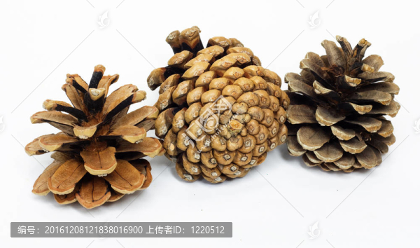 三大人物