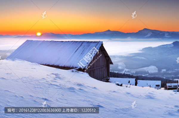 上午在山上