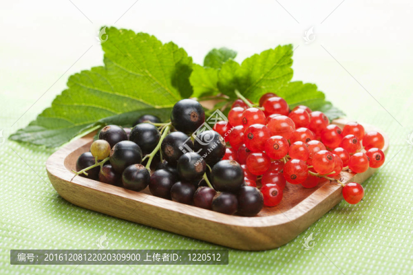 黑醋栗、紅醋栗