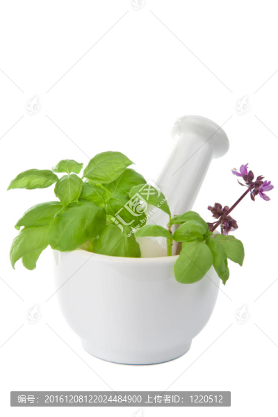隔藥砂漿
