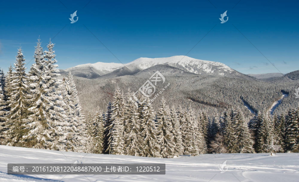 冬天的山