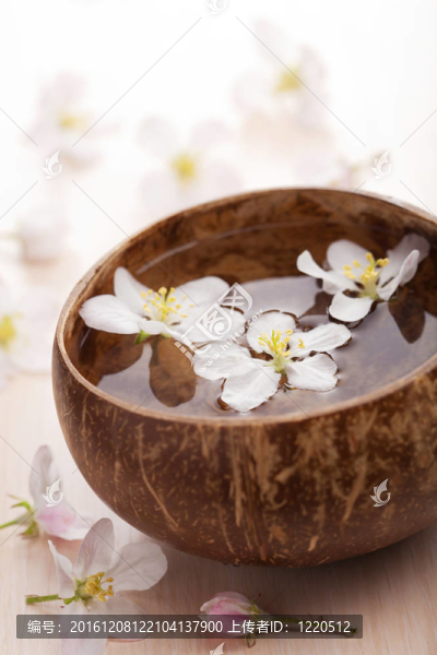 碗中白花