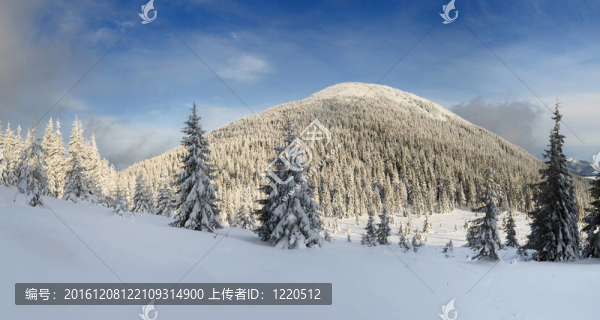 冬天的山