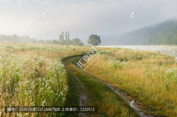 早晨