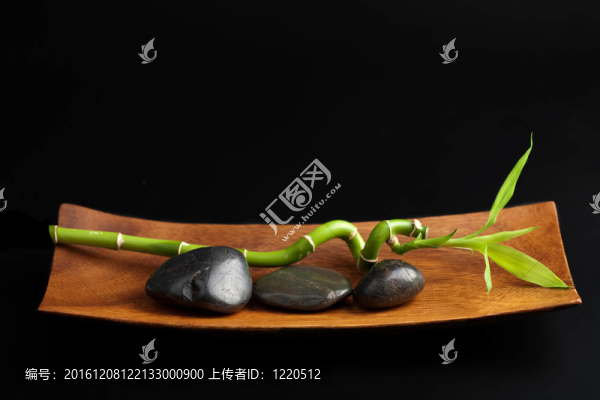 溫泉石竹