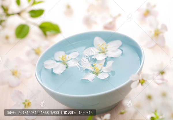 碗中白花